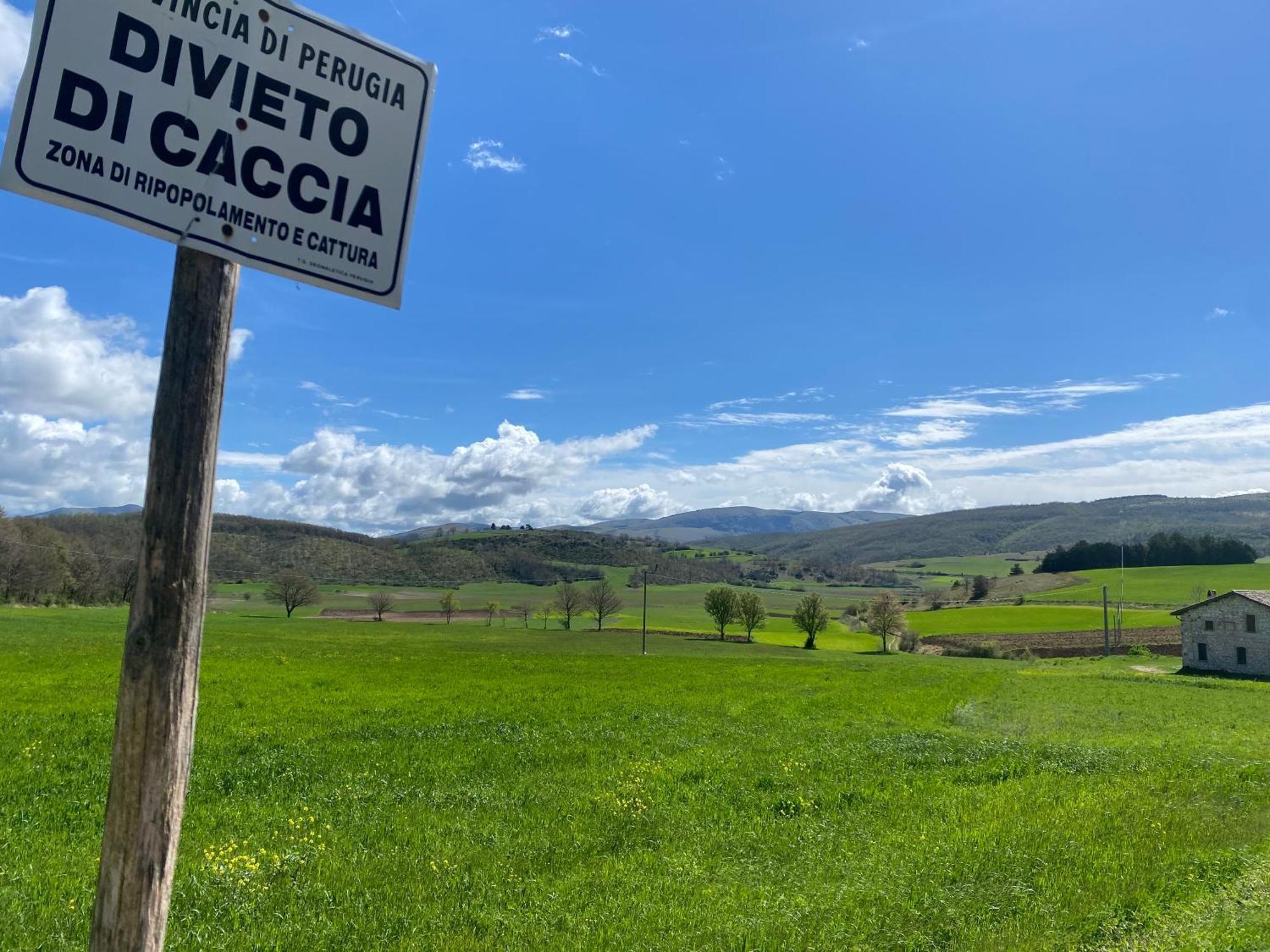 Chalet Ricciano Foligno Exteriör bild