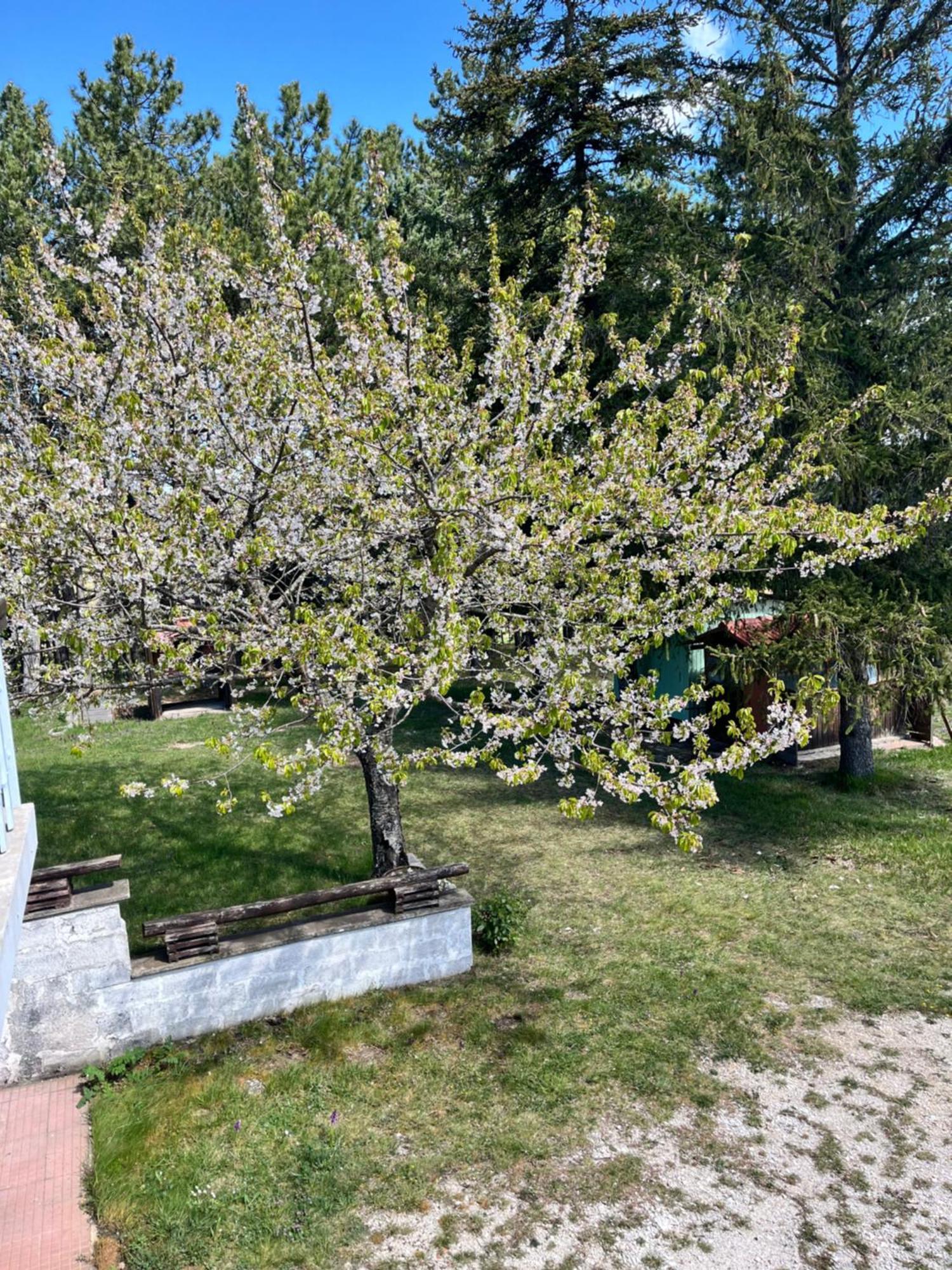 Chalet Ricciano Foligno Exteriör bild